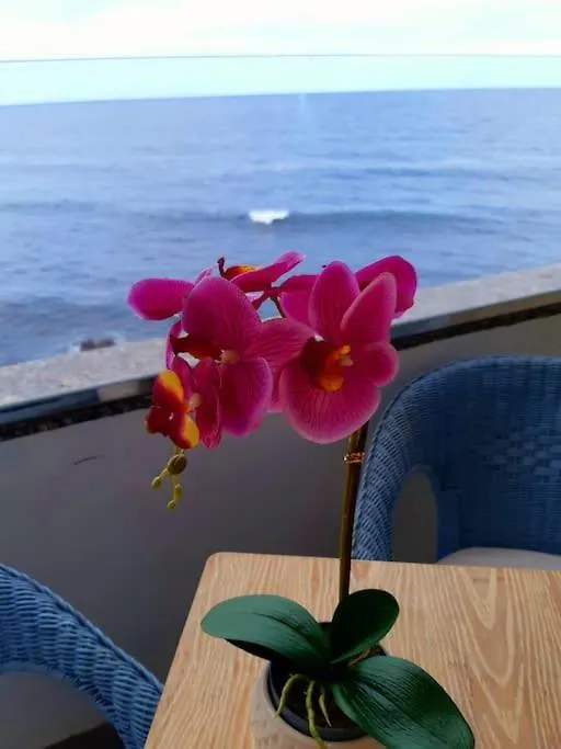 Ocean Orchidea Apartment Puerto de la Cruz  Spain